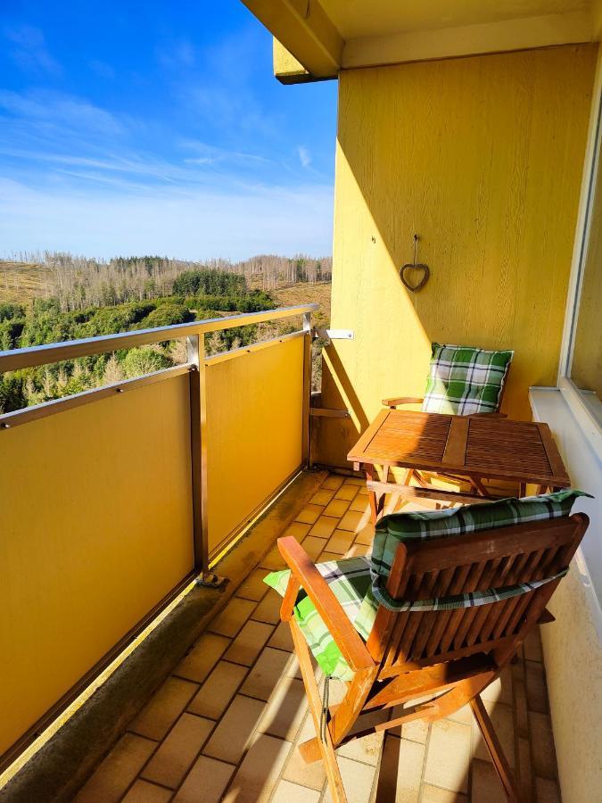 Bergzauber - Traumhafter Ausblick & Pool Apartment Braunlage